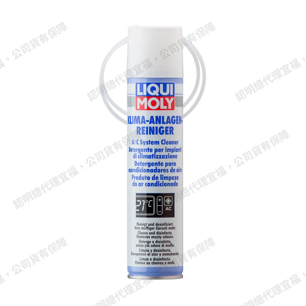 A/C System Cleaner (Spray) 空調系統清潔噴劑